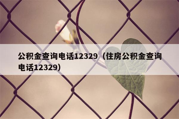 公积金查询电话12329（住房公积金查询电话12329）