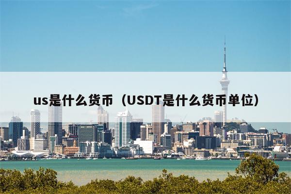 us是什么货币（USDT是什么货币单位）