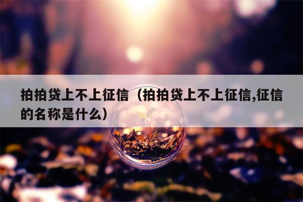 拍拍贷上不上征信（拍拍贷上不上征信,征信的名称是什么）