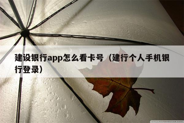 建设银行app怎么看卡号（建行个人手机银行登录）