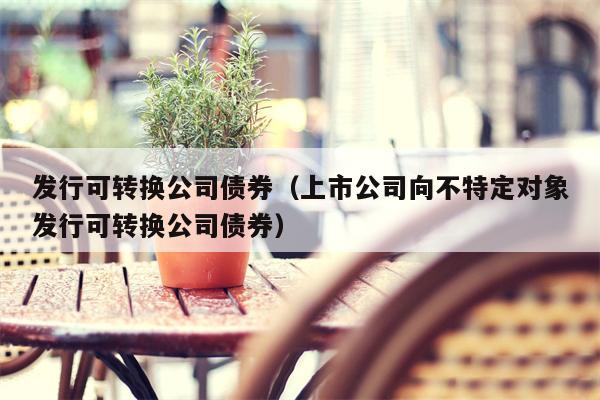 发行可转换公司债券（上市公司向不特定对象发行可转换公司债券）