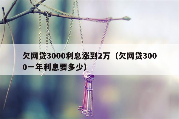 欠网贷3000利息涨到2万（欠网贷3000一年利息要多少）