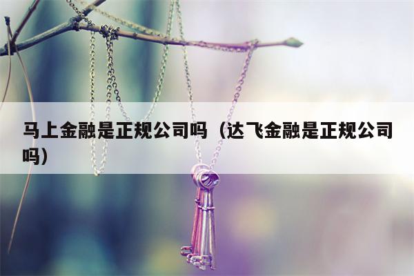 马上金融是正规公司吗（达飞金融是正规公司吗）