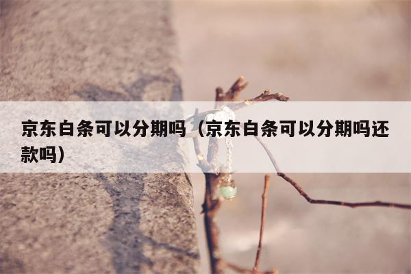 京东白条可以分期吗（京东白条可以分期吗还款吗）