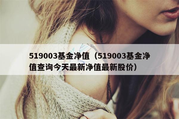 519003基金净值（519003基金净值查询今天最新净值最新股价）