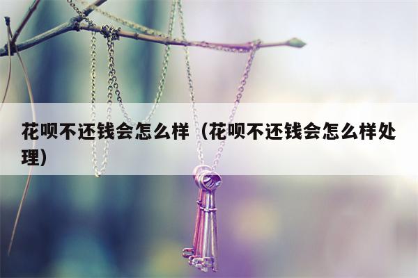 花呗不还钱会怎么样（花呗不还钱会怎么样处理）