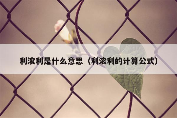 利滚利是什么意思（利滚利的计算公式）