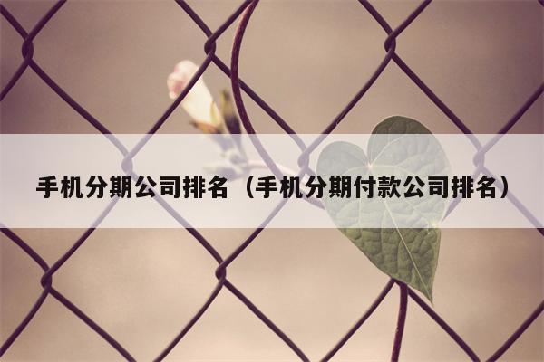 手机分期公司排名（手机分期付款公司排名）