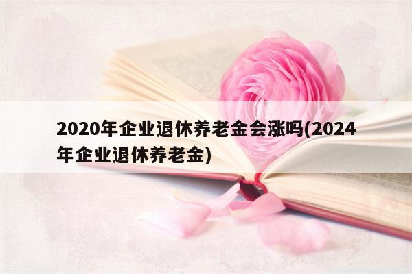 2020年企业退休养老金会涨吗(2024年企业退休养老金)