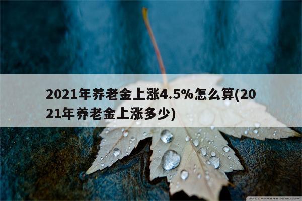 2021年养老金上涨4.5%怎么算(2021年养老金上涨多少)