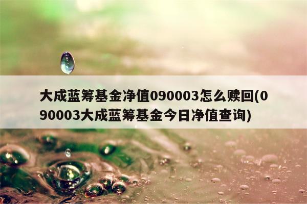 大成蓝筹基金净值090003怎么赎回(090003大成蓝筹基金今日净值查询)