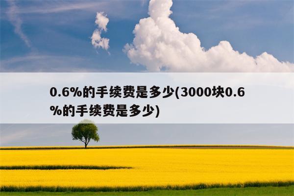 0.6%的手续费是多少(3000块0.6%的手续费是多少)