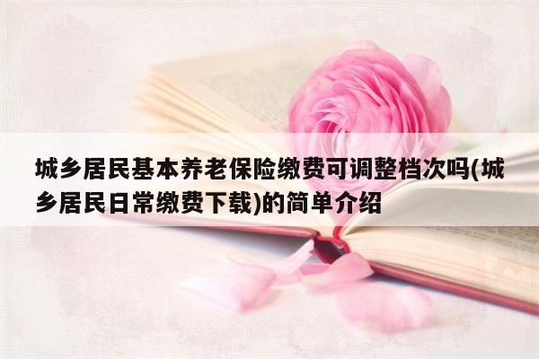 城乡居民基本养老保险缴费可调整档次吗(城乡居民日常缴费下载)的简单介绍