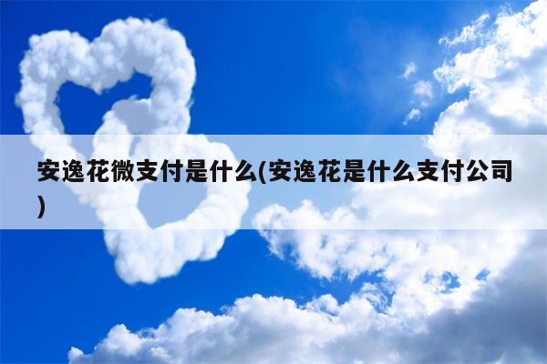 安逸花微支付是什么(安逸花是什么支付公司)