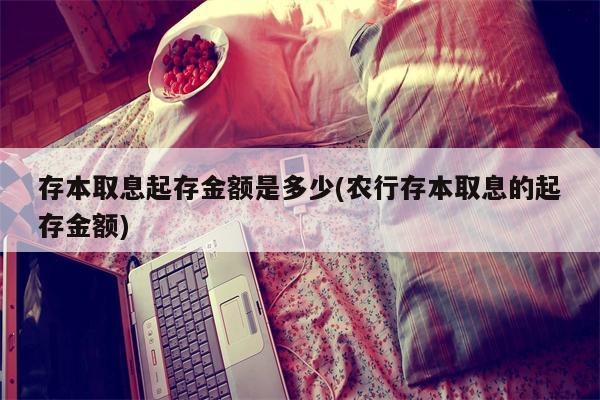 存本取息起存金额是多少(农行存本取息的起存金额)