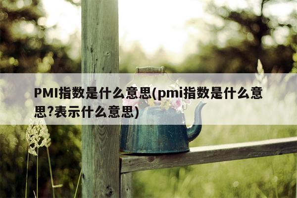 PMI指数是什么意思(pmi指数是什么意思?表示什么意思)