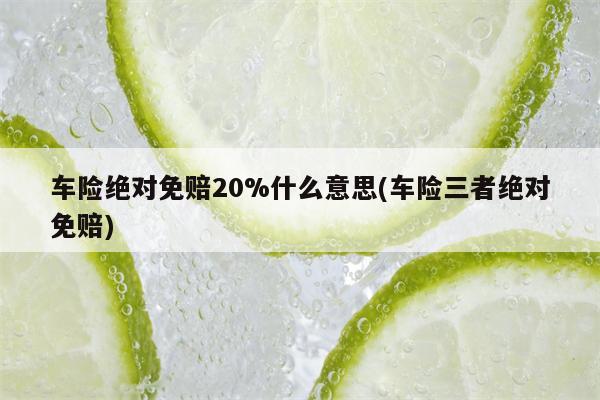 车险绝对免赔20%什么意思(车险三者绝对免赔)