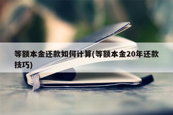 等额本金还款如何计算(等额本金20年还款技巧)