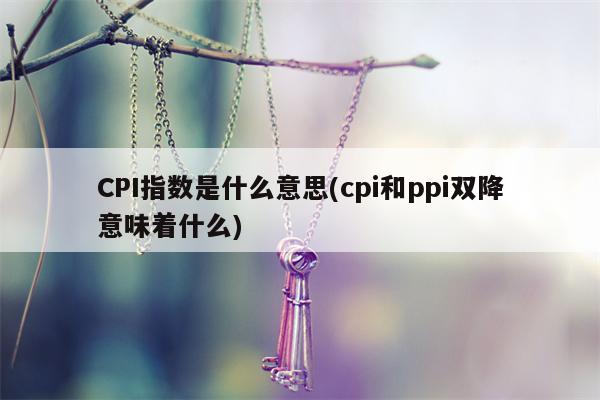 CPI指数是什么意思(cpi和ppi双降意味着什么)