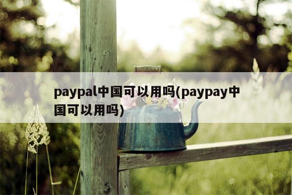 paypal中国可以用吗(paypay中国可以用吗)