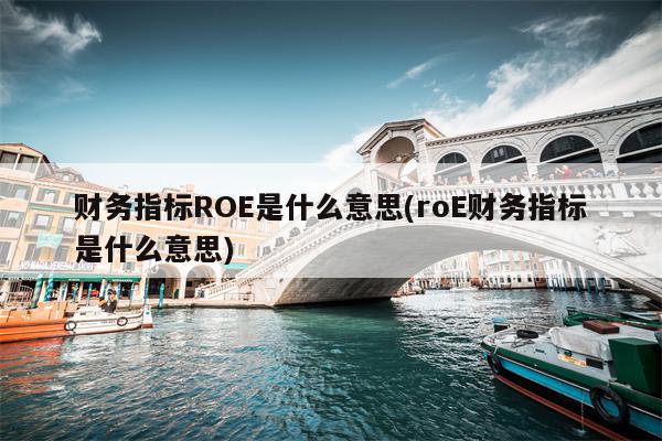 财务指标ROE是什么意思(roE财务指标是什么意思)