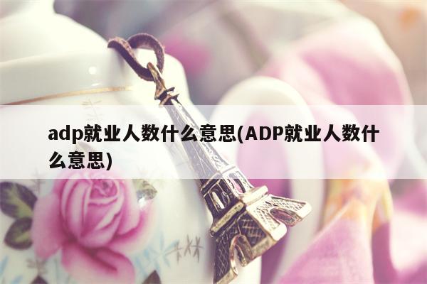 adp就业人数什么意思(ADP就业人数什么意思)