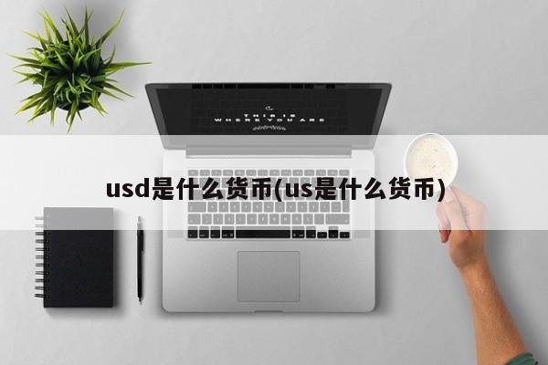 usd是什么货币(us是什么货币)