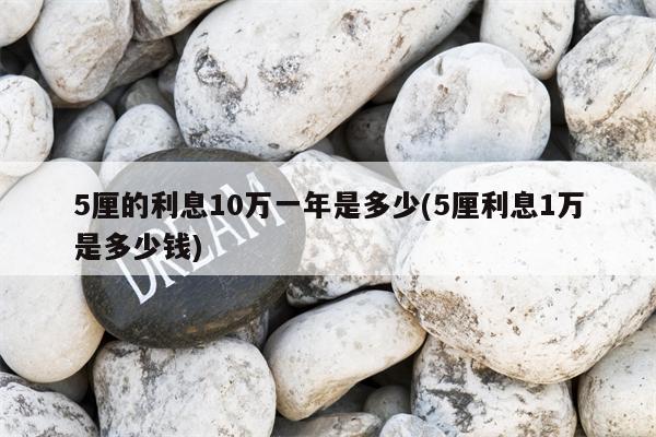 5厘的利息10万一年是多少(5厘利息1万是多少钱)