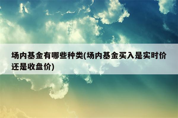 场内基金有哪些种类(场内基金买入是实时价还是收盘价)