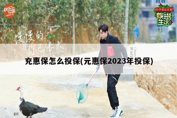 充惠保怎么投保(元惠保2023年投保)