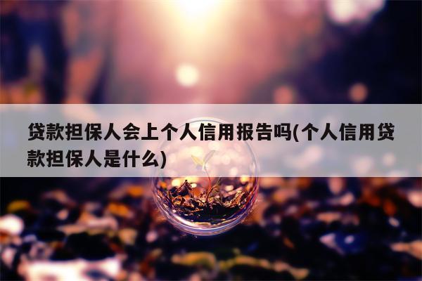 贷款担保人会上个人信用报告吗(个人信用贷款担保人是什么)