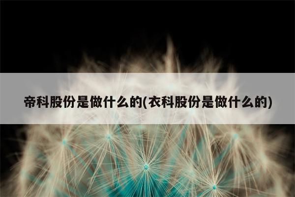 帝科股份是做什么的(衣科股份是做什么的)