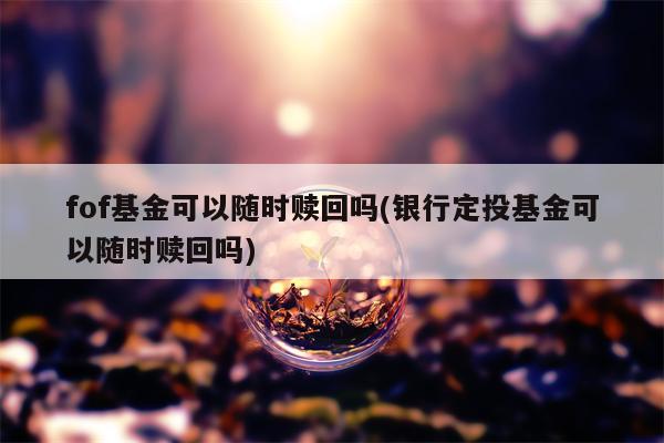 fof基金可以随时赎回吗(银行定投基金可以随时赎回吗)