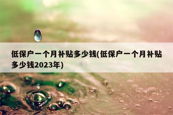 低保户一个月补贴多少钱(低保户一个月补贴多少钱2023年)