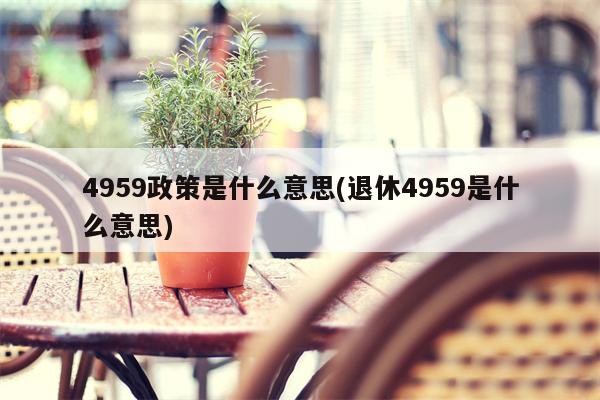 4959政策是什么意思(退休4959是什么意思)