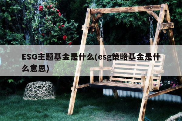 ESG主题基金是什么(esg策略基金是什么意思)