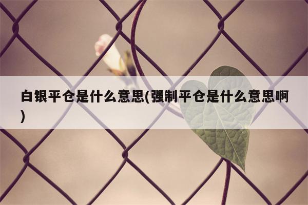 白银平仓是什么意思(强制平仓是什么意思啊)