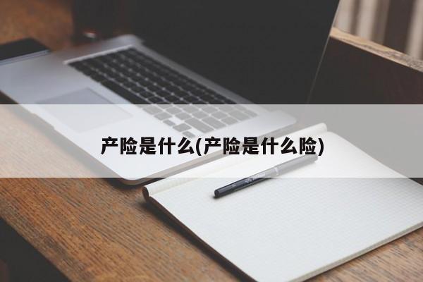 产险是什么(产险是什么险)