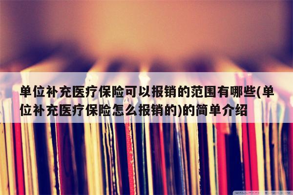 单位补充医疗保险可以报销的范围有哪些(单位补充医疗保险怎么报销的)的简单介绍