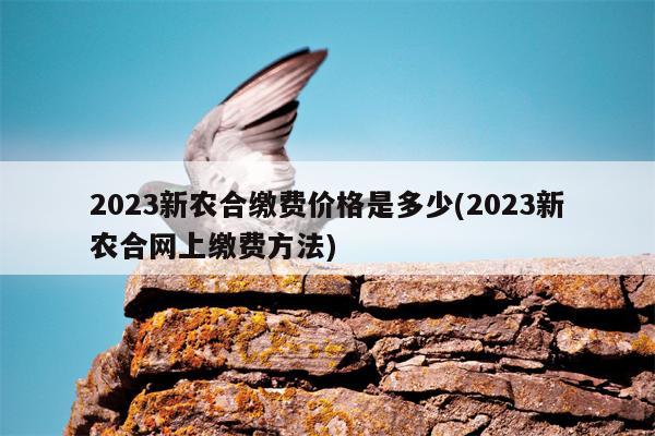 2023新农合缴费价格是多少(2023新农合网上缴费方法)