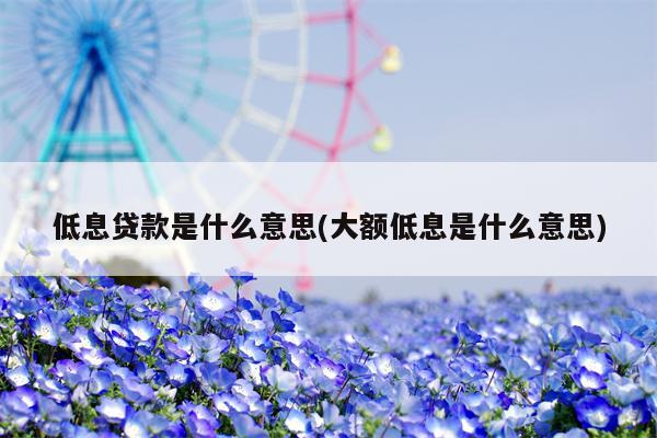 低息贷款是什么意思(大额低息是什么意思)