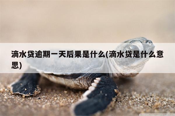 滴水贷逾期一天后果是什么(滴水贷是什么意思)