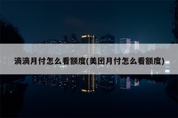 滴滴月付怎么看额度(美团月付怎么看额度)