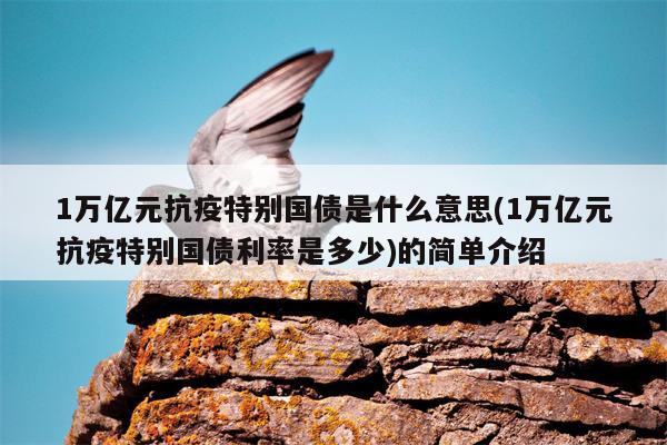 1万亿元抗疫特别国债是什么意思(1万亿元抗疫特别国债利率是多少)的简单介绍