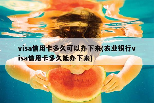 visa信用卡多久可以办下来(农业银行visa信用卡多久能办下来)