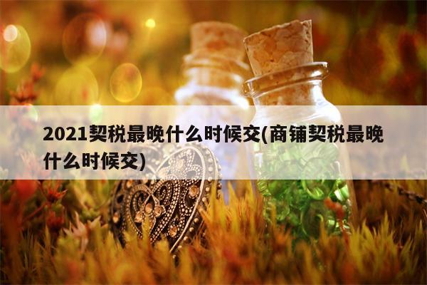 2021契税最晚什么时候交(商铺契税最晚什么时候交)