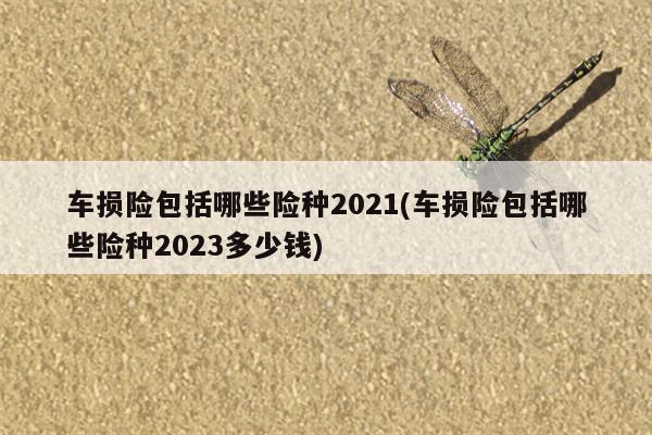 车损险包括哪些险种2021(车损险包括哪些险种2023多少钱)