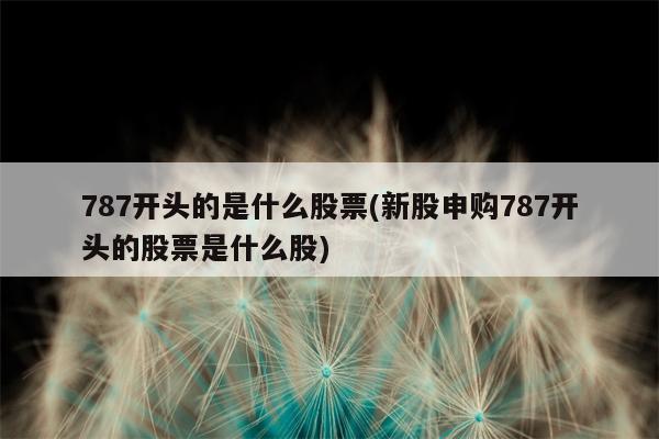 787开头的是什么股票(新股申购787开头的股票是什么股)