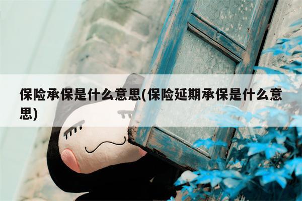 保险承保是什么意思(保险延期承保是什么意思)