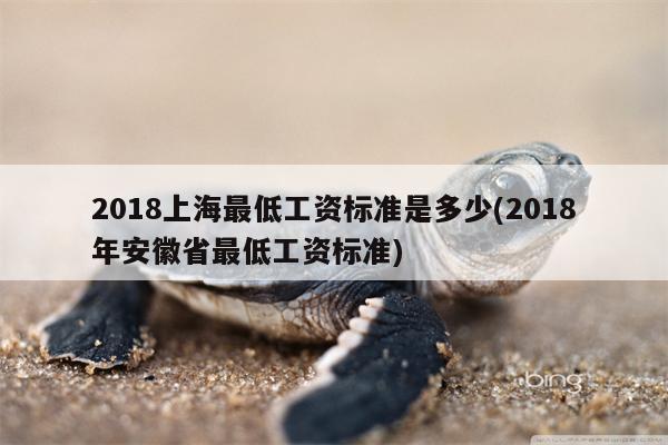 2018上海最低工资标准是多少(2018年安徽省最低工资标准)